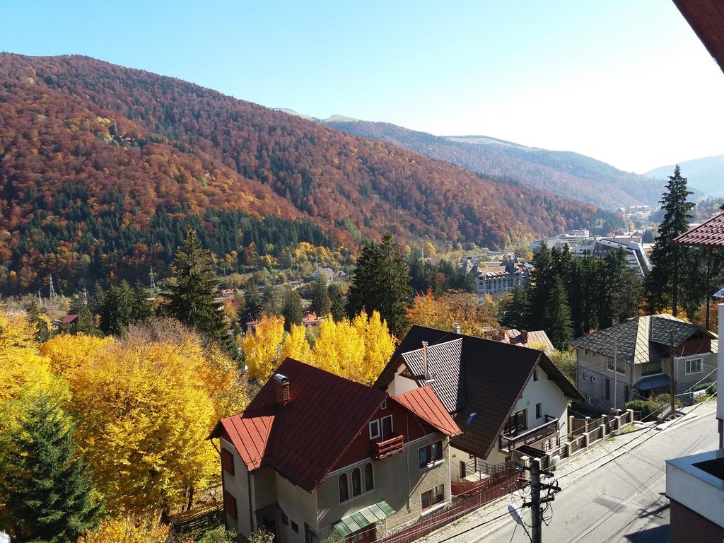 Vila Gabriel Sinaia Luaran gambar
