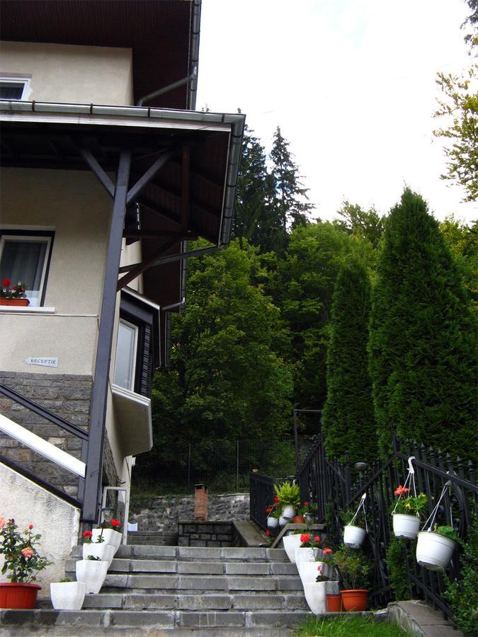 Vila Gabriel Sinaia Luaran gambar