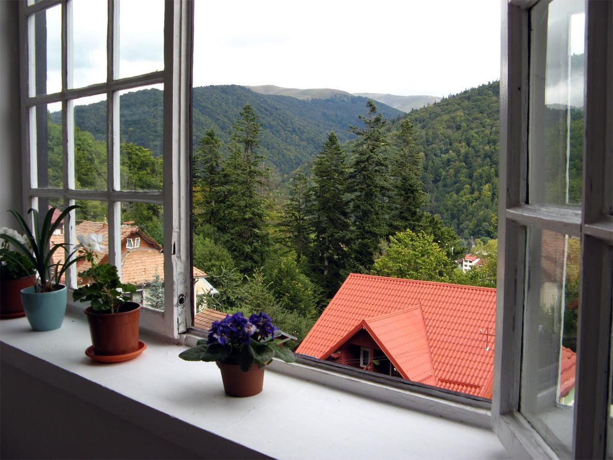 Vila Gabriel Sinaia Luaran gambar