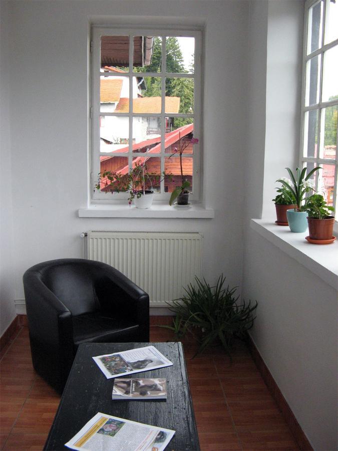 Vila Gabriel Sinaia Luaran gambar